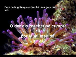 UNIVERSIDADE DA CRIANÇA
Para cada gota que entra, há uma gota quePara cada gota que entra, há uma gota que
sai.sai.
O dar e o receber se cumpreO dar e o receber se cumpre
aliali
por igual medida.por igual medida.
 