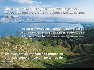 UNIVERSIDADE DA CRIANÇA
Um é doce e em suas águas abundam os peixes.Um é doce e em suas águas abundam os peixes.
Prados, bosques e jardins verdejantes beijam as suasPrados, bosques e jardins verdejantes beijam as suas
margens.margens.
Árvores frondosas estendem sobre ele osÁrvores frondosas estendem sobre ele os
seus ramos, e as suas raízes sedentas seseus ramos, e as suas raízes sedentas se
esticam para beber nas suas águas.esticam para beber nas suas águas.
Em suas praias brincam aos grupos asEm suas praias brincam aos grupos as
crianças como brincavam no tempo decrianças como brincavam no tempo de
Jesus.Jesus.
 