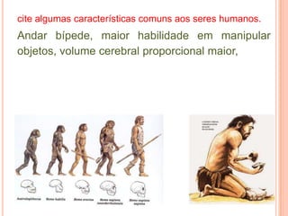 cite algumas características comuns aos seres humanos.
Andar bípede, maior habilidade em manipular
objetos, volume cerebral proporcional maior,
 