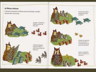 Os filhotes do vovô coruja