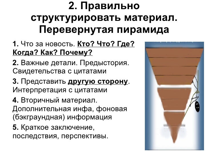 Журналистика волгу предметы