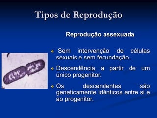 Tipos de Reprodução
Reprodução assexuada
 Sem intervenção de células
sexuais e sem fecundação.
 Descendência a partir de um
único progenitor.
 Os descendentes são
geneticamente idênticos entre si e
ao progenitor.
 