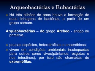 Arqueobactérias e Eubactérias
 Há três bilhões de anos houve a formação de
duas linhagens de bactérias, a partir de um
grupo comum.
Arqueobactérias – do grego Archeo - antigo ou
primitivo.
 poucas espécies, heterotróficas e anaeróbicas;
 vivem em condições ambientais inadequadas
para outros seres vivos(pântanos, esgotos e
nos intestinos), por isso são chamadas de
extremófilas.
 