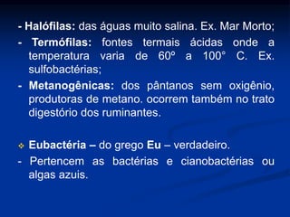 - Halófilas: das águas muito salina. Ex. Mar Morto;
- Termófilas: fontes termais ácidas onde a
temperatura varia de 60º a 100° C. Ex.
sulfobactérias;
- Metanogênicas: dos pântanos sem oxigênio,
produtoras de metano. ocorrem também no trato
digestório dos ruminantes.
 Eubactéria – do grego Eu – verdadeiro.
- Pertencem as bactérias e cianobactérias ou
algas azuis.
 