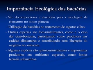Importância Ecológica das bactérias
- São decompositores e essenciais para a reciclagem de
elementos no nosso planeta;
- Utilização de bactérias no tratamento de esgotos e lixo.
- Outras espécies são fotossintetizantes, como é o caso
das cianobacterias, participando como produtora nas
cadeias alimentares e contribuindo com liberação do
oxigênio no ambiente.
- Algumas espécies são quimiossintetizantes e importantes
produtoras em ambientes especiais, como fontes
termais submarinas.
 