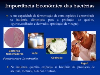 Bactérias
fermentadoras Leite
Coalhada
Iogurt
Importância Econômica das bactérias
 A sua capacidade de fermentação de certa espécies é aproveitada
na indústria alimentícia para a produção de queijos,
iogurtes,coalhadas e derivados; (produção de vinagre)
 Na indústria química emprega as bactérias na produção de
acetona, metanol, butanol e outros.
Streptococcus e Lactobacillus
 
