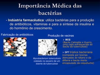 - Indústria farmacêutica: utiliza bactérias para a produção
de antibióticos, vitaminas e para a síntese da insulina e
do hormônio de crescimento.
Importância Médica das
bactérias
Fabricação de antibióticos Produção de vacinas
Mycobacterium tuberculosis
coletado no escarro de um
doente de tuberculose
 BCG
(Bacilo Calmette e Guerin,
uma cepa enfraquecida do
bacilo da tuberculose)
 DPT tríplice bacteriana
(composta por toxinas
atenuadas do tétano e da
difteria e bacilo morto
encapsulado da coqueluche)
 