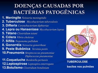 DOENÇAS CAUSADAS POR
BACTÉRIAS PATOGÊNICAS
1. Meningite Neisseria meningitidis
2. Tuberculose Mycobacterium tuberculosis
3. Difteria Corynebacterium diphteriae
4. Lepra ou Hanseníase Mycobacterium leprae
5. Tétano Clostridium tetani
6. Cólera Vibrio cholerae
7. Sífilis Treponema pallidum
8. Gonorréia Neisseria gonorrheae
9. Peste Bubônica Yersinia pestis
10.Pneumonia Streptococcus pneumoniae
Diplococcus pneumoniae
11.Coqueluche Bordetella pertussis
12.Leptospirose Leptospira enterrogans
13.Botulismo Clostridium botulinium
TUBERCULOSE
bacilos nos pulmões
 