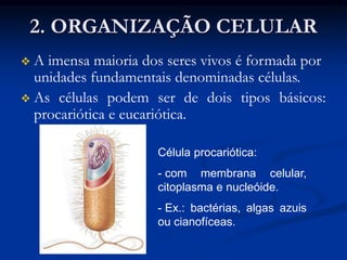 2. ORGANIZAÇÃO CELULAR
 A imensa maioria dos seres vivos é formada por
unidades fundamentais denominadas células.
 As células podem ser de dois tipos básicos:
procariótica e eucariótica.
Célula procariótica:
- com membrana celular,
citoplasma e nucleóide.
- Ex.: bactérias, algas azuis
ou cianofíceas.
 