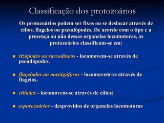 Classificação dos protozoários
Os protozoários podem ser fixos ou se deslocar através de
cílios, flagelos ou pseudópodes. De acordo com o tipo e a
presença ou não dessas organelas locomotoras, os
protozoários classificam-se em:
 rizópodes ou sarcodíneos - locomovem-se através de
pseudópodes.
 flagelados ou mastigóforos - locomovem-se através de
flagelos.
 ciliados - locomovem-se através de cílios;
 esporozoários - desprovidos de organelas locomotoras
 