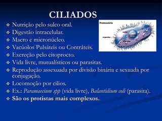 CILIADOS
 Nutrição pelo sulco oral.
 Digestão intracelular.
 Macro e micronúcleo.
 Vacúolos Pulsáteis ou Contráteis.
 Excreção pelo citoprocto.
 Vida livre, mutualísticos ou parasitas.
 Reprodução assexuada por divisão binária e sexuada por
conjugação.
 Locomoção por cilios.
 Ex.: Paramaecium spp (vida livre), Balantidium coli (parasita).
 São os protistas mais complexos.
 