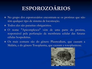 ESPOROZOÁRIOS
 No grupo dos esporozoários encontram-se os protistas que não
têm qualquer tipo de sistema de locomoção.
 Todos eles são parasitas obrigatórios.
 O nome "Apicomplexos" vêm de uma parte do protista,
responsável pela perfuração da membrana celular das futuras
células hospedeiras.
 Os mais comuns são do gênero Plasmodium, que causam a
Malária, e do gênero Toxoplasma, que causam a toxoplasmose.
 