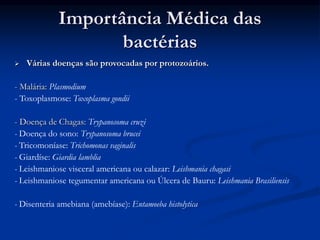  Várias doenças são provocadas por protozoários.
- Malária: Plasmodium
- Toxoplasmose: Toxoplasma gondii
- Doença de Chagas: Trypanosoma cruzi
- Doença do sono: Trypanosoma brucei
- Tricomoníase: Trichomonas vaginalis
- Giardíse: Giardia lamblia
- Leishmaniose visceral americana ou calazar: Leishmania chagasi
- Leishmaniose tegumentar americana ou Úlcera de Bauru: Leishmania Brasiliensis
- Disenteria amebiana (amebíase): Entamoeba histolytica
Importância Médica das
bactérias
 