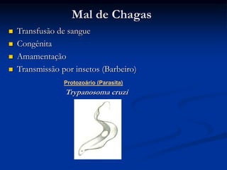 Mal de Chagas
 Transfusão de sangue
 Congênita
 Amamentação
 Transmissão por insetos (Barbeiro)
Protozoário (Parasita)
Trypanosoma cruzi
 