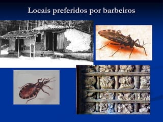 Locais preferidos por barbeiros
 