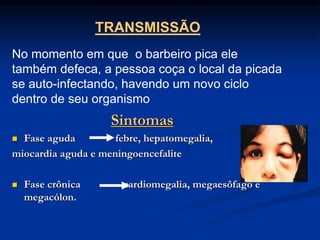 TRANSMISSÃO
No momento em que o barbeiro pica ele
também defeca, a pessoa coça o local da picada
se auto-infectando, havendo um novo ciclo
dentro de seu organismo
Sintomas
 Fase aguda febre, hepatomegalia,
miocardia aguda e meningoencefalite
 Fase crônica cardiomegalia, megaesôfago e
megacólon.
 