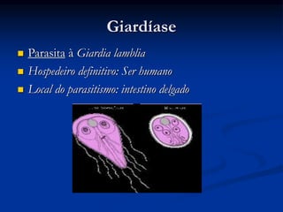 Giardíase
 Parasita à Giardia lamblia
 Hospedeiro definitivo: Ser humano
 Local do parasitismo: intestino delgado
 