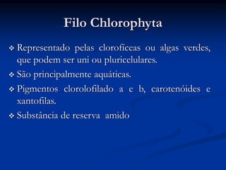 Filo Chlorophyta
 Representado pelas clorofíceas ou algas verdes,
que podem ser uni ou pluricelulares.
 São principalmente aquáticas.
 Pigmentos clorolofilado a e b, carotenóides e
xantofilas.
 Substância de reserva amido
 