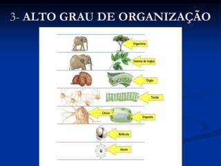 3- ALTO GRAU DE ORGANIZAÇÃO
 