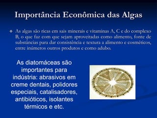 Importância Econômica das Algas
 As algas são ricas em sais minerais e vitaminas A, C e do complexo
B, o que faz com que sejam aproveitadas como alimento, fonte de
substâncias para dar consistência e textura a alimento e cosméticos,
entre inúmeros outros produtos e como adubo.
As diatomáceas são
importantes para
indústria: abrasivos em
creme dentais, polidores
especiais, catalisadores,
antibióticos, isolantes
térmicos e etc.
 