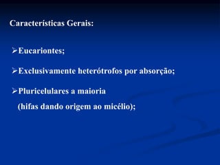 Características Gerais:
Eucariontes;
Pluricelulares a maioria
(hifas dando origem ao micélio);
Exclusivamente heterótrofos por absorção;
 