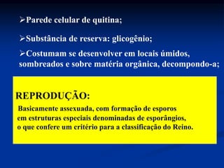 Parede celular de quitina;
Substância de reserva: glicogênio;
Costumam se desenvolver em locais úmidos,
sombreados e sobre matéria orgânica, decompondo-a;
REPRODUÇÃO:
Basicamente assexuada, com formação de esporos
em estruturas especiais denominadas de esporângios,
o que confere um critério para a classificação do Reino.
 