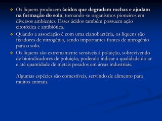  Os liquens produzem ácidos que degradam rochas e ajudam
na formação do solo, tornando-se organismos pioneiros em
diversos ambientes. Esses ácidos também possuem ação
citotóxica e antibiótica.
 Quando a associação é com uma cianobactéria, os liquens são
fixadores de nitrogênio, sendo importantes fontes de nitrogênio
para o solo.
 Os liquens são extremamente sensíveis à poluição, sobrevivendo
de bioindicadores de poluição, podendo indicar a qualidade do ar
e até quantidade de metais pesados em áreas industriais.
Algumas espécies são comestíveis, servindo de alimento para
muitos animais.
 