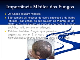  Os fungos causam micoses.
 São comuns as micoses do couro cabeludo e da barba
(ptiríase), das unhas, as que causam as frieiras (pé-de-
atleta) e as que afetam as mucosas da boca. É o caso
sapinho, muito comum em crianças.
 Existem também, fungos que parasitam o interior do
organismo, como é o caso do fungo causador da
histoplasmose, doença grave que ataca os pulmões.
Importância Médica dos Fungos
 
