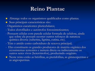 Reino Plantae
 Abrange todos os organismos qualificados como plantas.
 Suas principais características são:
- Organismos eucariontes pluricelulares;
- Todos clorofilados e autótrofos fotossintetizantes;
- Possuem células com parede celular formada de celulose, ainda
que sobre ela possam ocorrer outros reforços de natureza
química diversa (suberina, lignina, cutina, etc).
- Têm o amido como carboidrato de reserva principal;
- Eles constituem os grandes produtores de matéria orgânica dos
ecossistemas terrestres e nutrem direta ou indiretamente os
outros seres vivos (heterótrofos), produzindo oxigênio.
 Neste reino estão as briófitas, as pteridófitas, as gimnospermas e
as angiospermas.
 