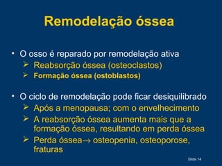 Slide 14
Remodelação óssea
• O osso é reparado por remodelação ativa
 Reabsorção óssea (osteoclastos)
 Formação óssea (ostoblastos)
• O ciclo de remodelação pode ficar desiquilibrado
 Após a menopausa; com o envelhecimento
 A reabsorção óssea aumenta mais que a
formação óssea, resultando em perda óssea
 Perda óssea→ osteopenia, osteoporose,
fraturas
 