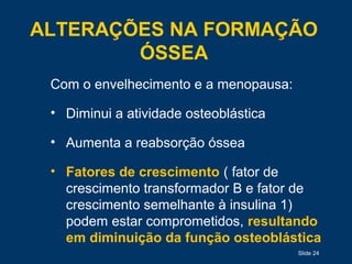 Slide 24
ALTERAÇÕES NA FORMAÇÃO
ÓSSEA
Com o envelhecimento e a menopausa:
• Diminui a atividade osteoblástica
• Aumenta a reabsorção óssea
• Fatores de crescimento ( fator de
crescimento transformador B e fator de
crescimento semelhante à insulina 1)
podem estar comprometidos, resultando
em diminuição da função osteoblástica
 