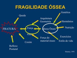 FRATURA
Queda
Arquitetura
Geometria Hormônios
Nutrição
Exercícios
Estilo de vida
Massa ÓsseaForça
Osso
Reflexo
Postural
Coxim
Força do
material ósseo
Heaney, 1991
Genética
FRAGILIDADE ÓSSEA
 