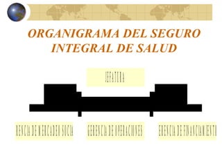 ORGANIGRAMA DEL SEGURO
INTEGRAL DE SALUD
GERENCIA DE MERCADEO SOCIAL GERENCIA DE OPERACIONES GERENCIA DE FINANCIAMIENTO
JEFATURA
 