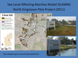 Sea Level Affecting Marshes Model (SLAMM)
North Kingstown Pilot Project (2011)
http://seagrant.gso.uri.edu/climate/habitat.html
 