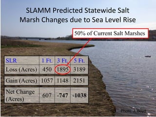 SLAMM Predicted Statewide Salt
Marsh Changes due to Sea Level Rise
SLR 1 Ft. 3 Ft. 5 Ft.
Loss (Acres) 450 1895 3189
Gain (Acres) 1057 1148 2151
Net Change
(Acres)
607 -747 -1038
50% of Current Salt Marshes
Photo: J. Boyd
 