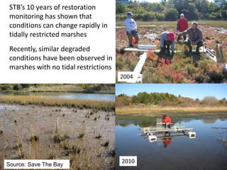 2010
2004
STB’s 10 years of restoration
monitoring has shown that
conditions can change rapidly in
tidally restricted marshes
Recently, similar degraded
conditions have been observed in
marshes with no tidal restrictions
2010Source: Save The Bay
 