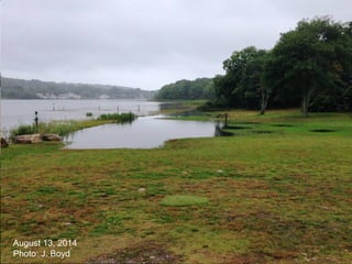 May 15, 2014
Photo: J. Boyd
August 13, 2014
Photo: J. Boyd
 