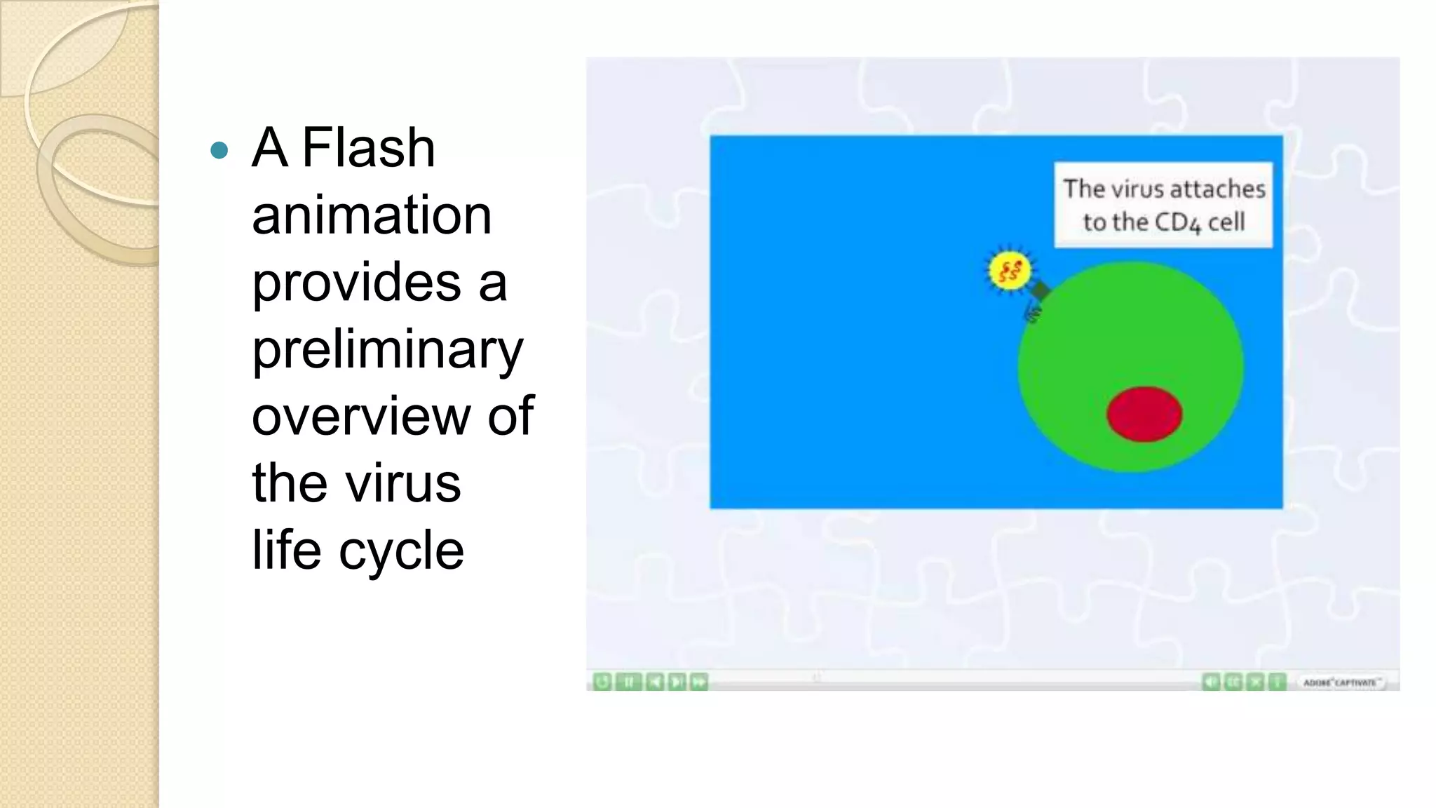 A Flash animation provides a preliminary overview of the virus life cycle