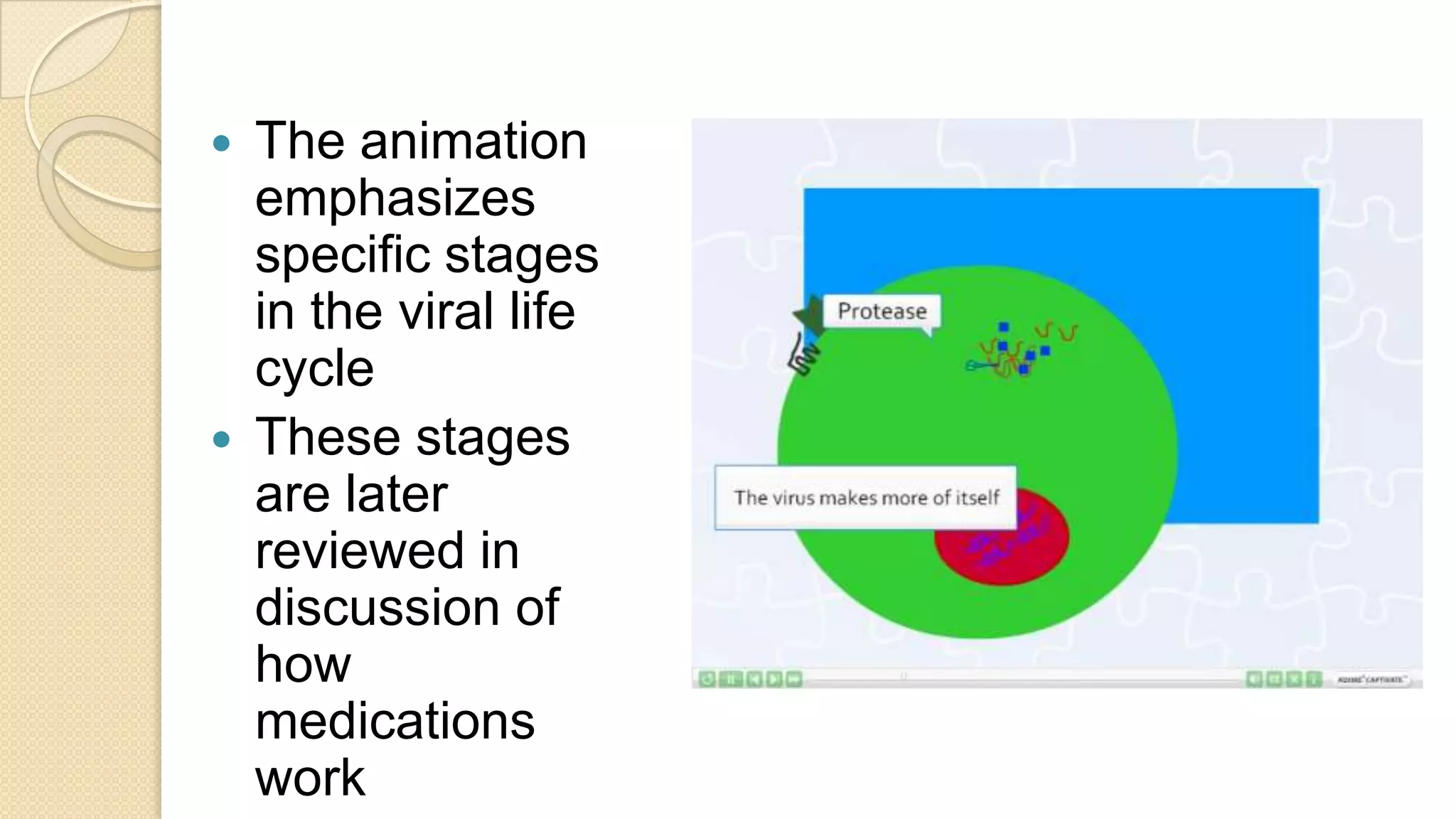 The animation emphasizes specific stages in the viral life cycleThese stages are later reviewed in discussion of how medications work