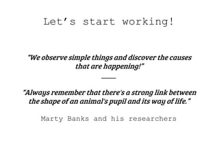 “We observe simple things and discover the causes
that are happening!”
____
“Always remember that there's a strong link between
the shape of an animal's pupil and its way of life.”
Marty Banks and his researchers
Let’s start working!
 