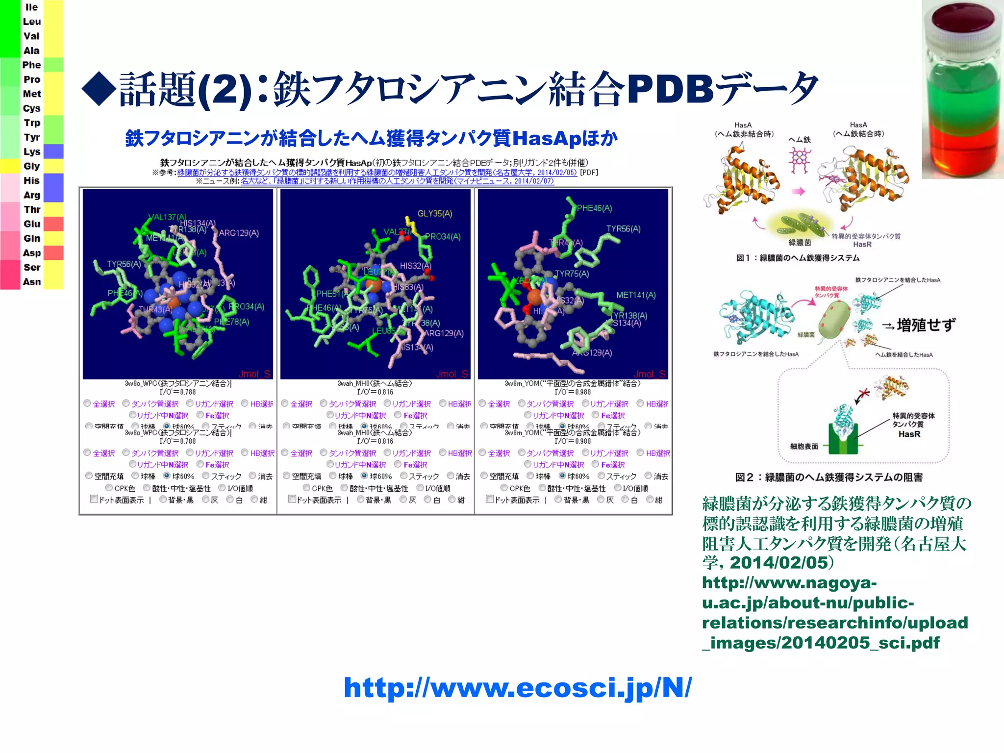 ◆話題(2)：鉄フタロシアニン結合PDBデータ
http://www.ecosci.jp/N/
鉄フタロシアニンが結合したヘム獲得タンパク質HasApほか
緑膿菌が分泌する鉄獲得タンパク質の
標的誤認識を利用する緑膿菌の増殖
阻害人工タンパク質を開発（名古屋大
学，2014/02/05）
http://www.nagoya-
u.ac.jp/about-nu/public-
relations/researchinfo/upload
_images/20140205_sci.pdf
 