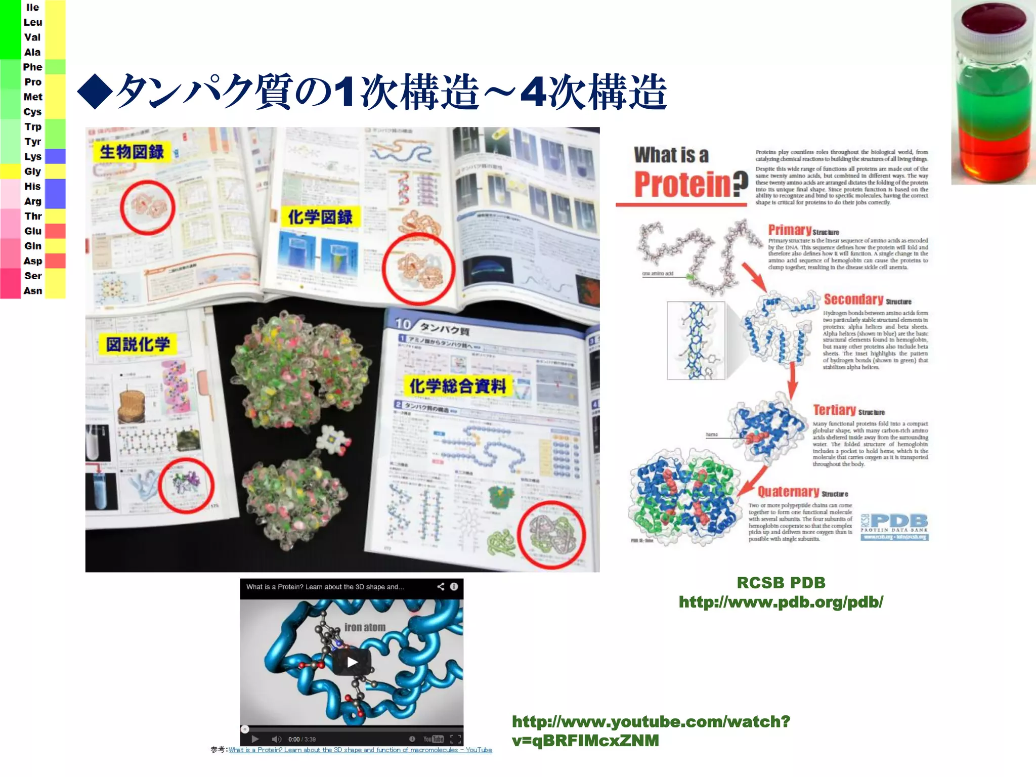 ◆タンパク質の1次構造～4次構造
RCSB PDB
http://www.pdb.org/pdb/
http://www.youtube.com/watch?
v=qBRFIMcxZNM
 