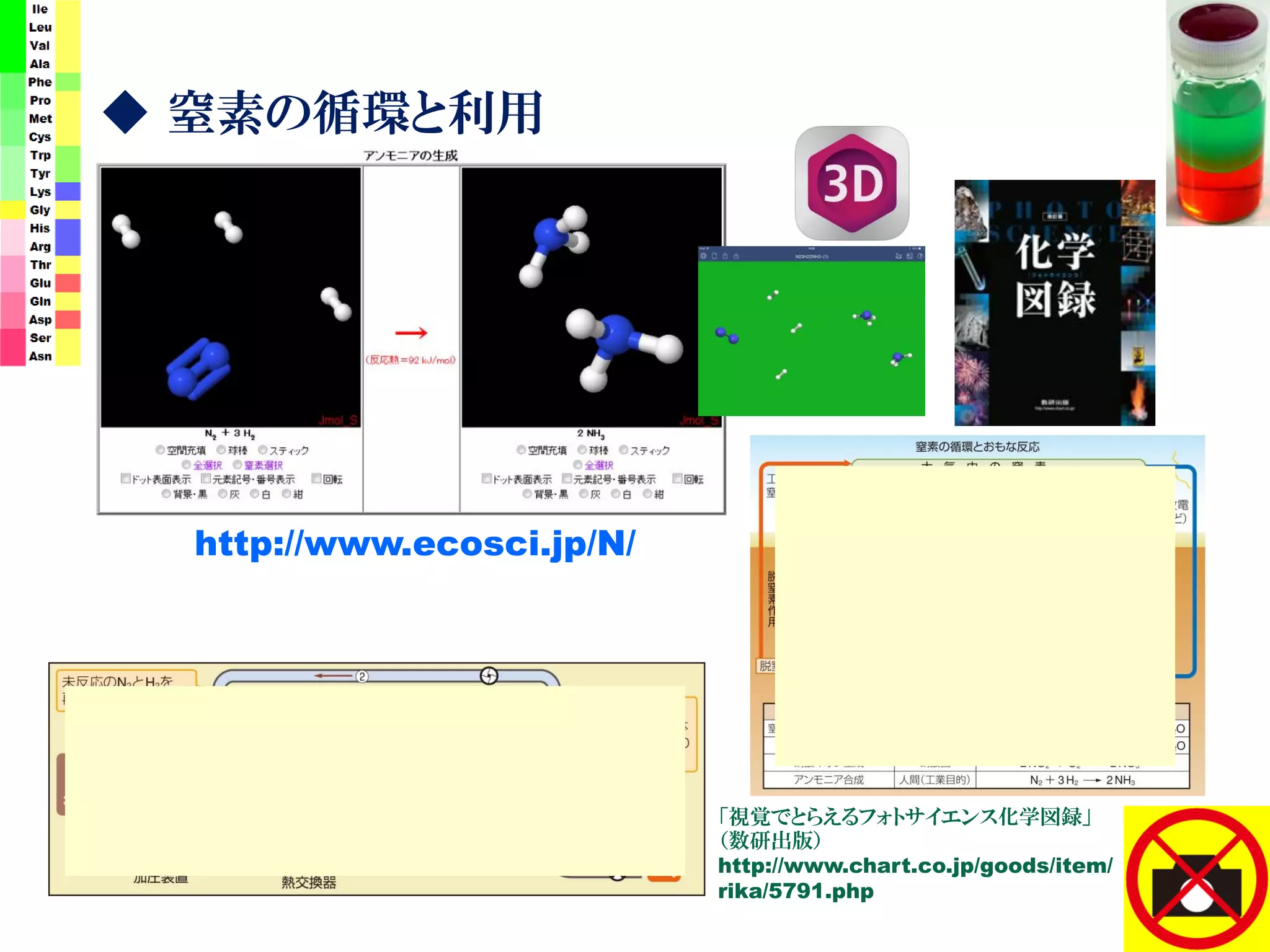 ◆ 窒素の循環と利用
http://www.ecosci.jp/N/
「視覚でとらえるフォトサイエンス化学図録」
（数研出版）
http://www.chart.co.jp/goods/item/
rika/5791.php
 