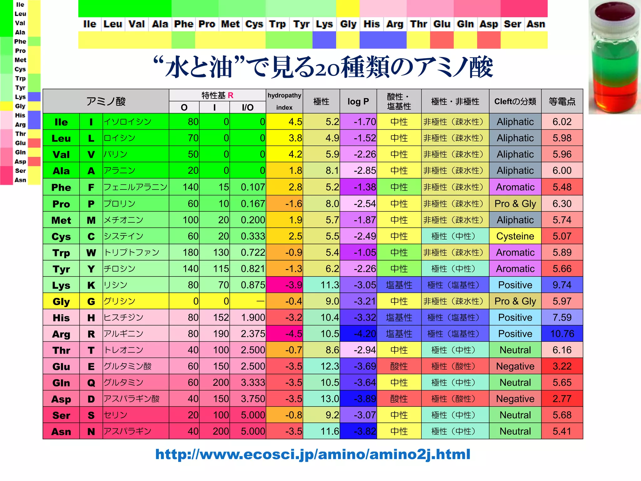 “水と油”で見る20種類のアミノ酸
アミノ酸
特性基 R hydropathy
極性 log P
酸性・
塩基性
極性・非極性 Cleftの分類 等電点
O I I/O index
Ile I イソロイシン 80 0 0 4.5 5.2 -1.70 中性 非極性（疎水性） Aliphatic 6.02
Leu L ロイシン 70 0 0 3.8 4.9 -1.52 中性 非極性（疎水性） Aliphatic 5.98
Val V バリン 50 0 0 4.2 5.9 -2.26 中性 非極性（疎水性） Aliphatic 5.96
Ala A アラニン 20 0 0 1.8 8.1 -2.85 中性 非極性（疎水性） Aliphatic 6.00
Phe F フェニルアラニン 140 15 0.107 2.8 5.2 -1.38 中性 非極性（疎水性） Aromatic 5.48
Pro P プロリン 60 10 0.167 -1.6 8.0 -2.54 中性 非極性（疎水性） Pro & Gly 6.30
Met M メチオニン 100 20 0.200 1.9 5.7 -1.87 中性 非極性（疎水性） Aliphatic 5.74
Cys C システイン 60 20 0.333 2.5 5.5 -2.49 中性 極性（中性） Cysteine 5.07
Trp W トリプトファン 180 130 0.722 -0.9 5.4 -1.05 中性 非極性（疎水性） Aromatic 5.89
Tyr Y チロシン 140 115 0.821 -1.3 6.2 -2.26 中性 極性（中性） Aromatic 5.66
Lys K リシン 80 70 0.875 -3.9 11.3 -3.05 塩基性 極性（塩基性） Positive 9.74
Gly G グリシン 0 0 － -0.4 9.0 -3.21 中性 非極性（疎水性） Pro & Gly 5.97
His H ヒスチジン 80 152 1.900 -3.2 10.4 -3.32 塩基性 極性（塩基性） Positive 7.59
Arg R アルギニン 80 190 2.375 -4.5 10.5 -4.20 塩基性 極性（塩基性） Positive 10.76
Thr T トレオニン 40 100 2.500 -0.7 8.6 -2.94 中性 極性（中性） Neutral 6.16
Glu E グルタミン酸 60 150 2.500 -3.5 12.3 -3.69 酸性 極性（酸性） Negative 3.22
Gln Q グルタミン 60 200 3.333 -3.5 10.5 -3.64 中性 極性（中性） Neutral 5.65
Asp D アスパラギン酸 40 150 3.750 -3.5 13.0 -3.89 酸性 極性（酸性） Negative 2.77
Ser S セリン 20 100 5.000 -0.8 9.2 -3.07 中性 極性（中性） Neutral 5.68
Asn N アスパラギン 40 200 5.000 -3.5 11.6 -3.82 中性 極性（中性） Neutral 5.41
http://www.ecosci.jp/amino/amino2j.html
 
