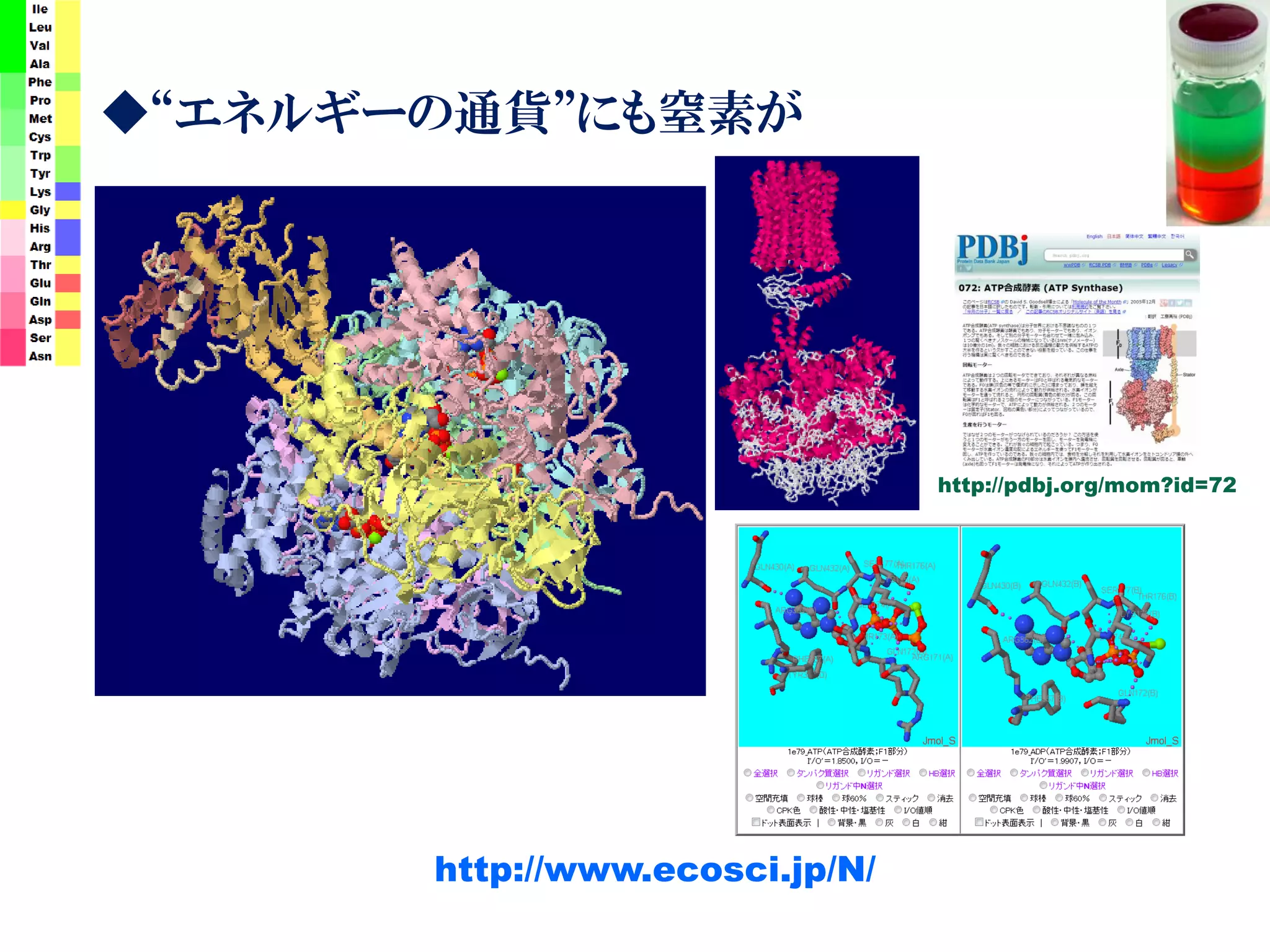 ◆“エネルギーの通貨”にも窒素が
http://www.ecosci.jp/N/
http://pdbj.org/mom?id=72
 