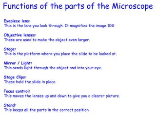 Eyepiece lens:
This is the lens you look through. It magnifies the image 10X
Objective lenses:
These are used to make the object even larger.
Stage:
This is the platform where you place the slide to be looked at.
Mirror / Light:
This sends light through the object and into your eye.
Stage Clips:
These hold the slide in place
Focus control:
This moves the lenses up and down to give you a clearer picture.
Stand:
This keeps all the parts in the correct position
Functions of the parts of the Microscope
 