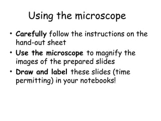 Using the microscope
• Carefully follow the instructions on the
hand-out sheet
• Use the microscope to magnify the
images of the prepared slides
• Draw and label these slides (time
permitting) in your notebooks!
 