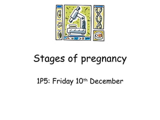 Stages of pregnancy 1P5: Friday 10 th  December 