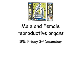 Male and Female reproductive organs 1P5: Friday 3 rd  December 