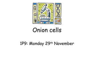 Onion cells
1P9: Monday 29th
November
 